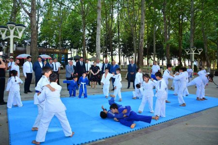 Müşfiq Hüseynov professional olmasıyla, dövlətçiliyimizin və prezidentimizin yüksək reytinqini hər şeydən uca tutur