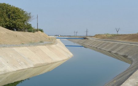 Vüqar Əliyev öz vəzifəsini şərəflə, ləqayətlə, inam və imanla addımlayır