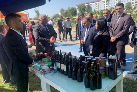 Üzümçülük Və Şərabçılıq Elmi Tədqiqat İnstitutunun Əməkdaşları Naxçıvanda Keçirilən "Aqro Festival" Da Iştirak Ediblər