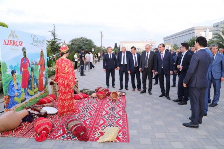 Lənkəranda silsilə tədbirlər davam edir - ÖZƏL