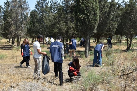 Tahir Məmmədovun Yasamal bələdiyyəsində gördüyü işlər danılmazdır
