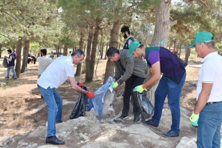 Tahir Məmmədovun Yasamal bələdiyyəsində gördüyü işlər danılmazdır