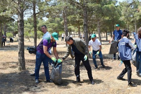 Tahir Məmmədovun Yasamal bələdiyyəsində gördüyü işlər danılmazdır