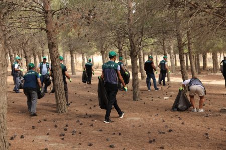 Tahir Məmmədovun Yasamal bələdiyyəsində gördüyü işlər danılmazdır