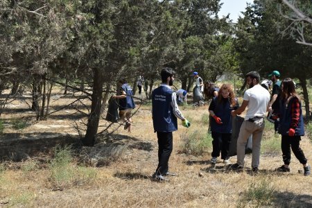 Tahir Məmmədovun Yasamal bələdiyyəsində gördüyü işlər danılmazdır