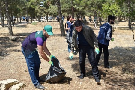 Tahir Məmmədovun Yasamal bələdiyyəsində gördüyü işlər danılmazdır