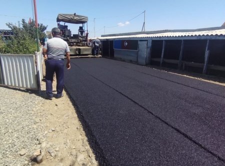 Mahmud Bağırov şəhid ailələrinə özəl diqqət və qayğı göstərir