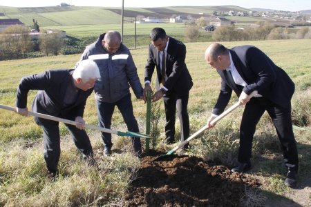 Rafiq Cəlilov cəlilabadlılar tərəfindən sevilir, hörmətlə yanaşılır