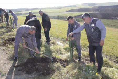 Rafiq Cəlilov cəlilabadlılar tərəfindən sevilir, hörmətlə yanaşılır