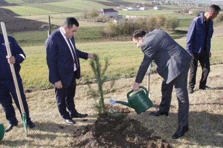 Rafiq Cəlilov cəlilabadlılar tərəfindən sevilir, hörmətlə yanaşılır