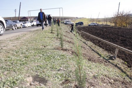 Rafiq Cəlilov cəlilabadlılar tərəfindən sevilir, hörmətlə yanaşılır