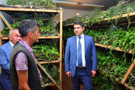 Ağstafa RİH-də silsilə tədbirlər davam edir - əhalinin rifanı yüksək səviyyədədir