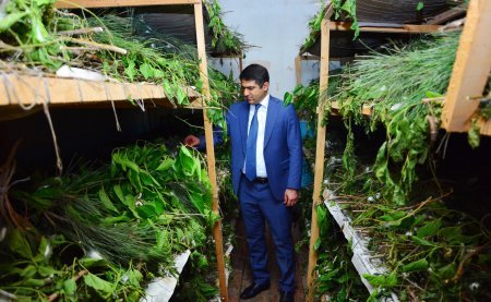 Ağstafa RİH-də silsilə tədbirlər davam edir - əhalinin rifanı yüksək səviyyədədir