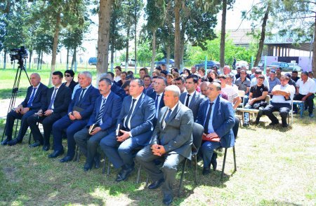 Ağstafa RİH-də silsilə tədbirlər davam edir - əhalinin rifanı yüksək səviyyədədir