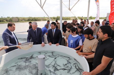 Neftçala rayon İcra Hakimiyyətində silsilə tədbirlər davam edir