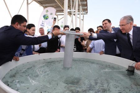 Neftçala rayon İcra Hakimiyyətində silsilə tədbirlər davam edir