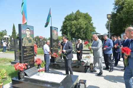 Lənkəran Şəhər İcra Hakimiyyətində silsilə tədbirlər davam edir