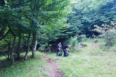 Göygöl Mənzil Kommunal Təsərrüfatı İstehsalat Birliyinin rəisi Pərvin Rəhimov vəzifəsini şərələ yerinə yetirir