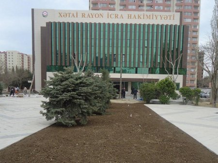 Rəşad Quliyev hər zaman şəhid ailələrinə dəstəkdir