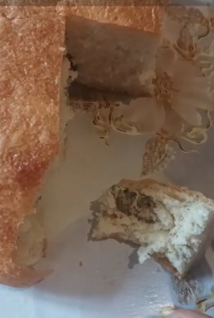 Görün Çörəyin içindən nə çıxdı - Sizcə nədir bu? - İyrənclik