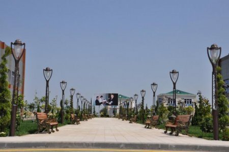 Seyid Samir Qasımov: Xidmət və İnkişaf Yolu