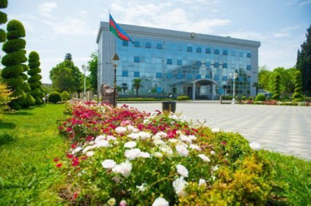 Tofiq müəllim: Lənkəranın İnkişafına Töhfə Verən Vətənpərvər İdarəçi